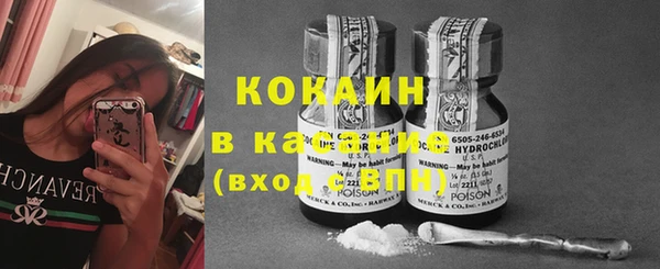spice Гусиноозёрск