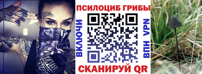 Галлюциногенные грибы прущие грибы  где можно купить наркотик  Ковдор 